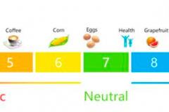 Alkaline-Level