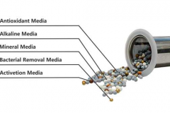 Alkaline Media