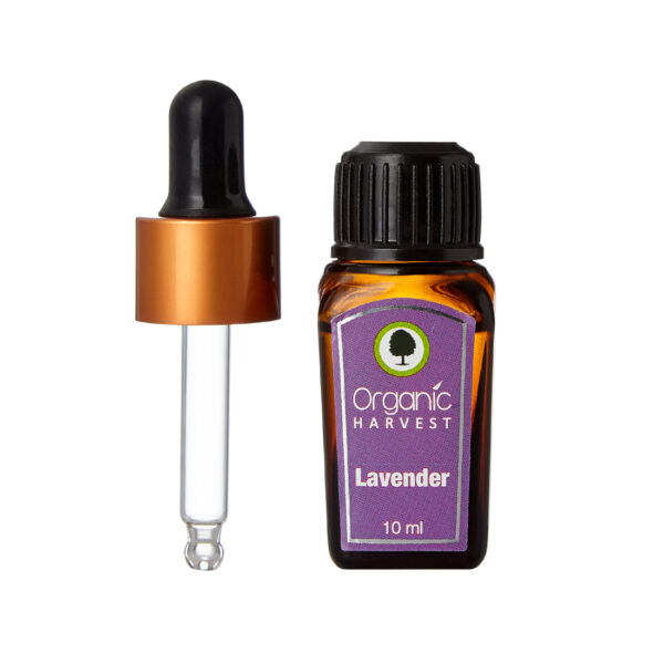 Lavender Essential Oil